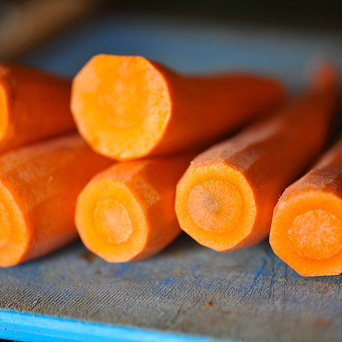 GAJAR KA HALWA (Carrot Halwa)